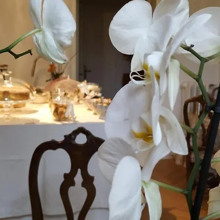 Bed & Breakfast La Belle Coquette