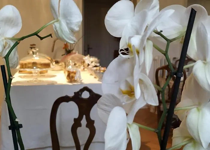 Bed and Breakfast La Belle Coquette